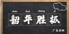 韶华怎么读 韶华的读音是什么,韶华的拼音