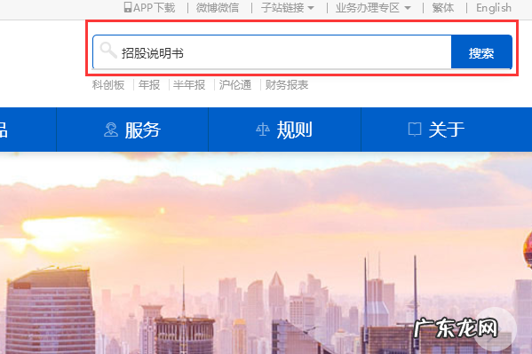 科创板招股书在哪看,科创板招股说明书在哪里查
