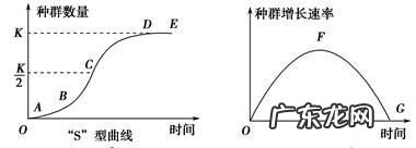 种群增长率和增长速率的区别,种群数量变化增长率与增长速率的区别