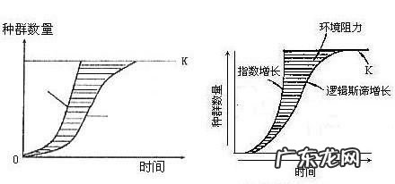 种群增长率和增长速率的区别,种群数量变化增长率与增长速率的区别