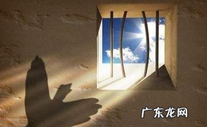 心理机制有哪些内容,常见的心理防御机制有哪些