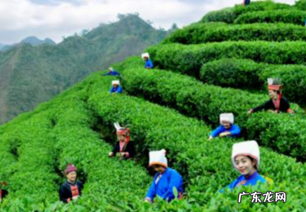 杭州春节习俗,过新年有什么风俗