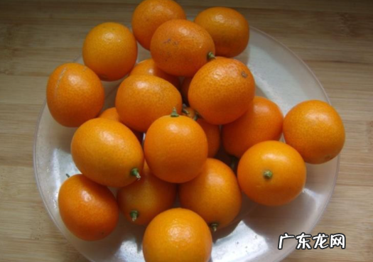 小金桔需要剥皮吃,金桔怎么吃用不用剥皮