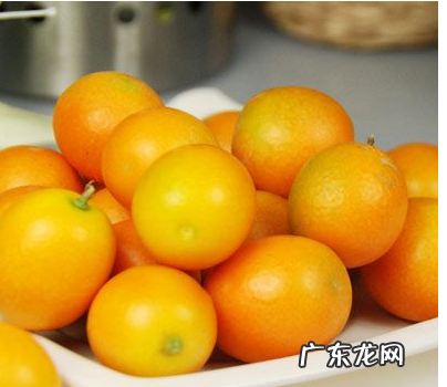 小金桔需要剥皮吃,金桔怎么吃用不用剥皮