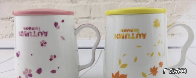 陶瓷杯是塑料制品吗 外面是塑料里面是陶瓷的杯子