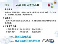 抗氧化剂有哪些,抗氧化剂的药物有哪些