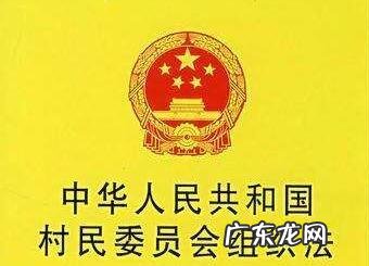 村民委员会是我国的什么组织,村委会是什么性质单位