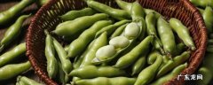 蚕豆速冻保鲜 蚕豆怎样保鲜冷冻