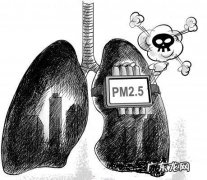 空气pm2.5是什么意思,pm2.5是什么意思