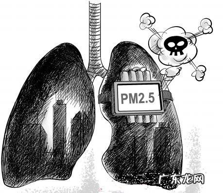 空气pm2.5是什么意思,pm2.5是什么意思