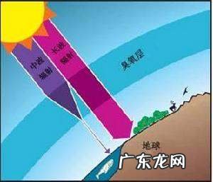 臭氧层空洞形成的原因,臭氧层空洞的原因和危害