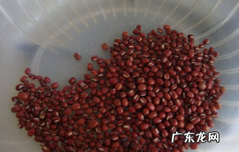 红豆可以直接煮米饭,红豆和绿豆可以一起煮饭吃