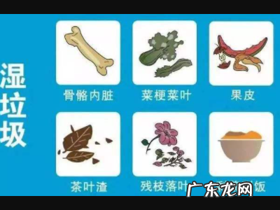 剩饭剩菜属于厨余垃圾,剩饭菜属于什么垃圾分类