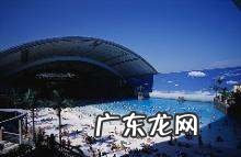 半标游泳池多大,标准泳池多大