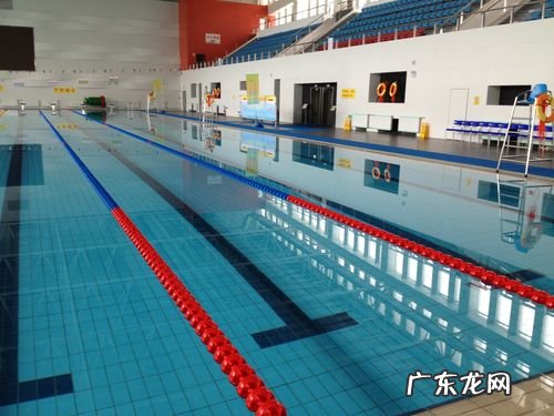 半标游泳池多大,标准泳池多大