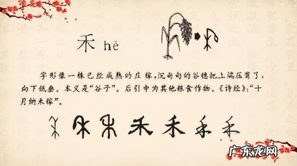 禾字取名的寓意,禾字取名的寓意
