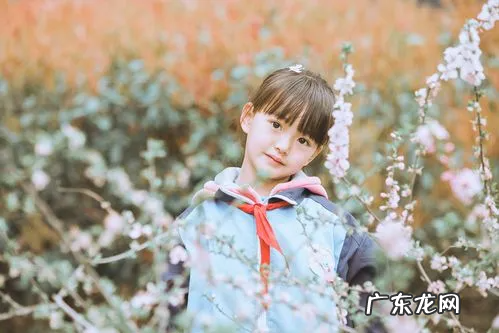 禾字取名的寓意,禾字取名的寓意