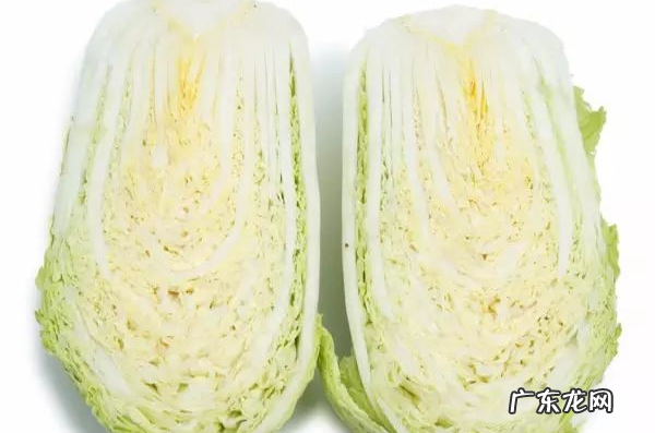 白菜属于什么类蔬菜,白菜属于什么性质的食物