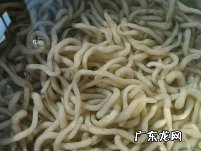 红薯粉条怎么做,红薯粉条的做法大全家常
