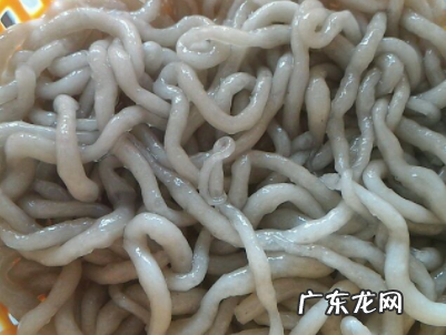 红薯粉条怎么做,红薯粉条的做法大全家常