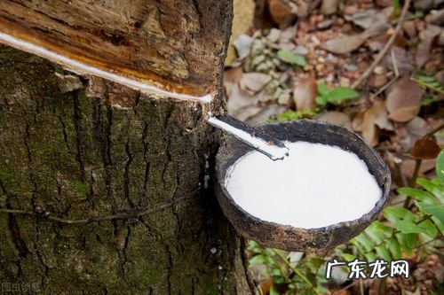 合成橡胶和天然橡胶的区别,合成橡胶和天然橡胶的区别各举例举例