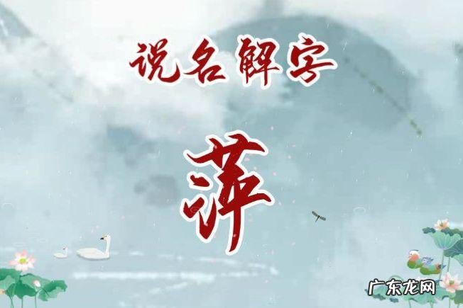 翠萍的名字寓意,名字中带萍字 用萍字可以起什么名字好听
