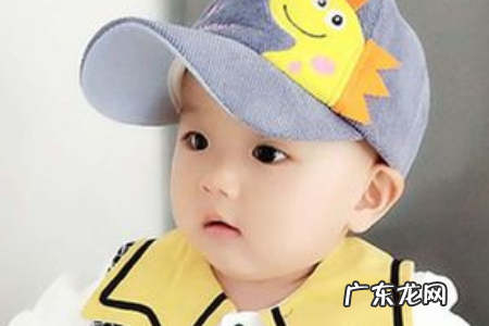 杉字的寓意和象征,杉的意思
