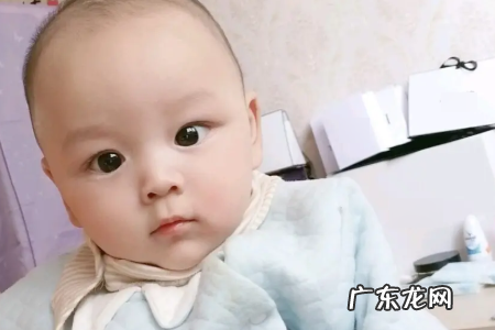 杉字的寓意和象征,杉的意思