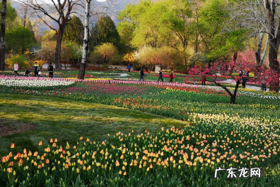 春节的经典名篇,经典春节古诗大全