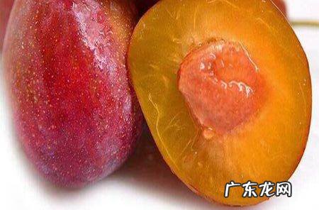 西梅怎么清洗,西梅清洗的正确方法