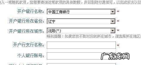 开户所属支行是什么意思,支行是什么意思怎么填