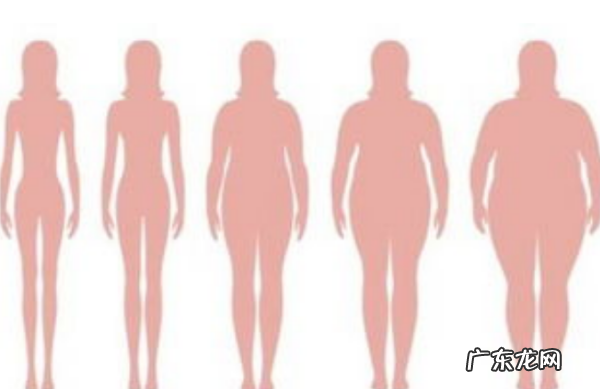 怎么样检测内脏脂肪,内脏脂肪检测是做什么用的