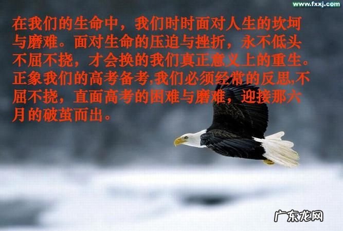 与不屈不挠有关的名言,百折不挠的名言警句有哪些