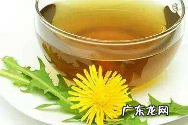 蒲公英和什么相克,丹参和蒲公英相克