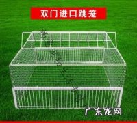 捕捉鸽子用什么工具,抓鸽子的方法