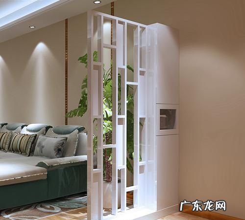 客厅隔断摆放什么好,客厅隔断摆放什么好 给大家介绍一下
