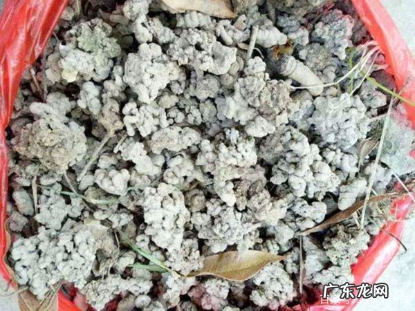 蚯蚓粪养花怎么用,蚯蚓粪适合养哪些花