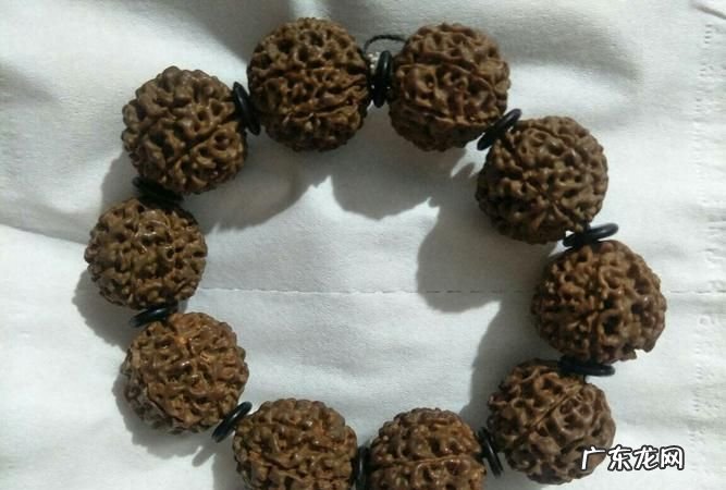 金刚菩提子刷什么油好,金刚菩提保养油是什么油