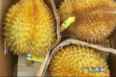怎么样挑榴莲肉,怎样挑选好的榴莲