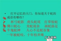 有关蛇的成语寓意好的词语,蛇的四字成语有哪些成语
