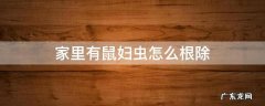 家里鼠妇虫怎么消灭掉 家里有鼠妇虫怎么根除