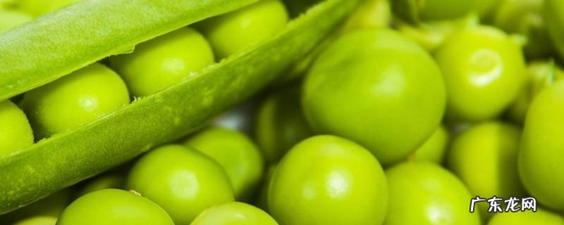 青豌豆怎么保存 青碗豆子怎样保存