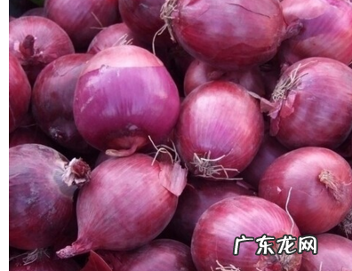 大葱和红葱有什么区别,红葱洋葱和圆葱有什么区别