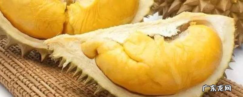 死果榴莲和生果榴莲的区别 榴莲死果是什么样子