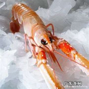 海鳌虾是什么虾,海白虾和皮皮虾的区别