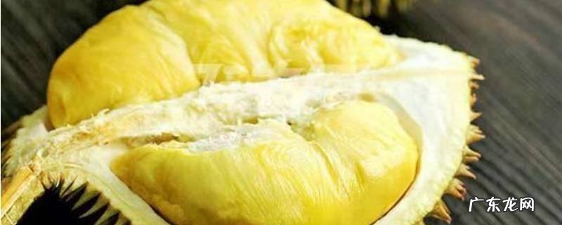 金枕头榴莲特点 金枕头榴莲百度百科