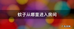 蚊子从哪里进入房间 蚊子是怎么进入房间的