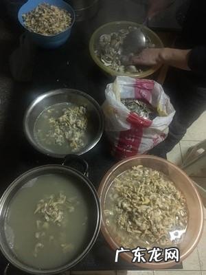干蚬子肉干怎么泡,黄蚬子肉干怎么做好吃又简单