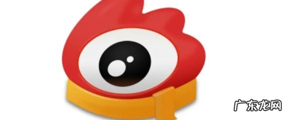 微博repost是什么意思,repo微博里什么意思