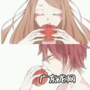 百合和断背什么意思,断背山下百合花开是什么意思